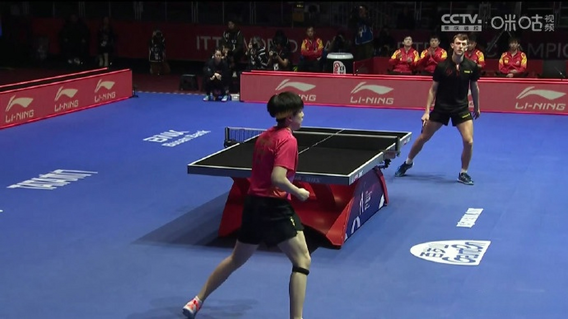 日本乒乓球队碾压比利时乒乓球队，奥恰洛夫制霸全场的简单介绍