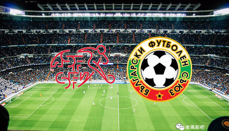 瑞士队在保加利亚获胜，巩固排名