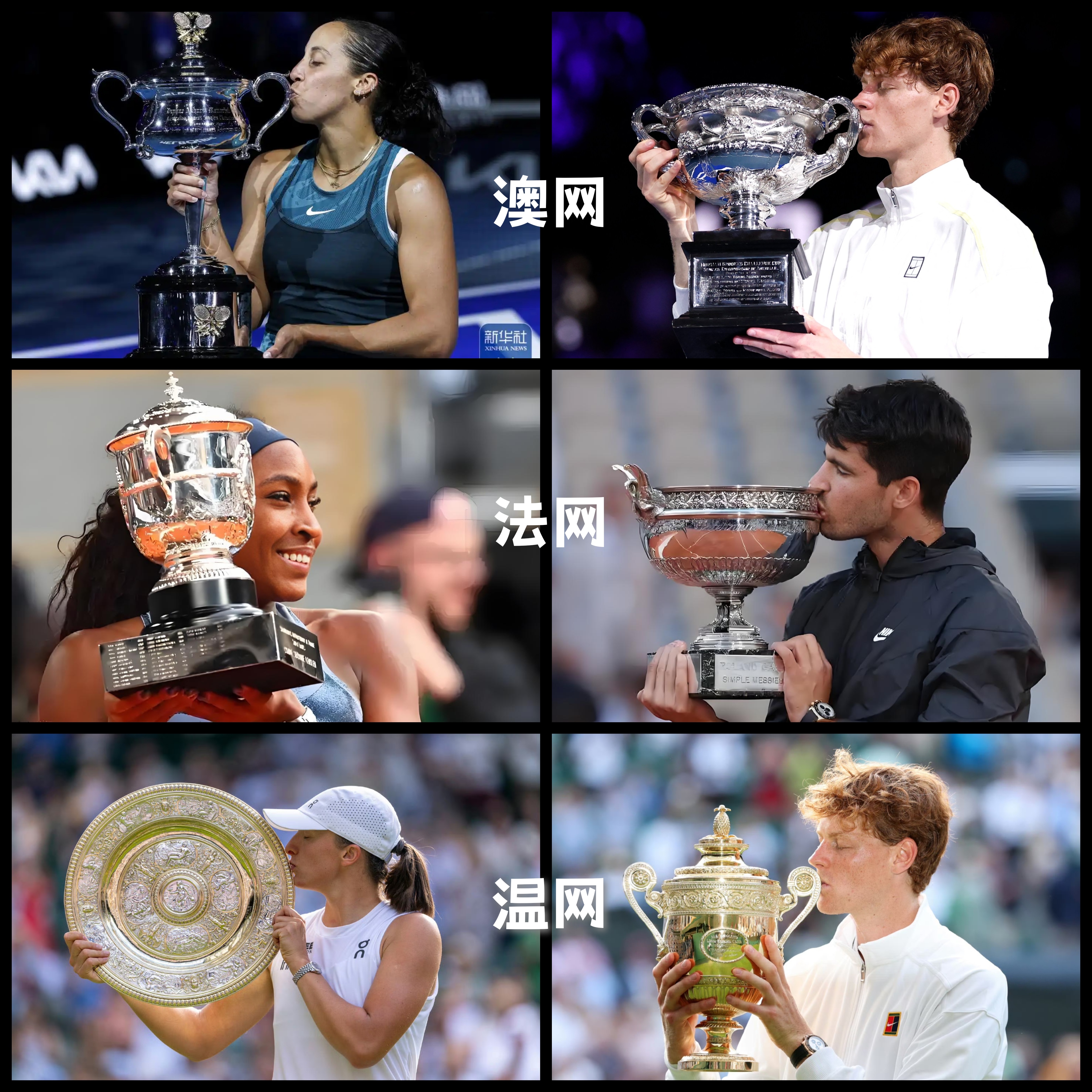 包含美网完胜温网，穆雷惊艳四座的词条