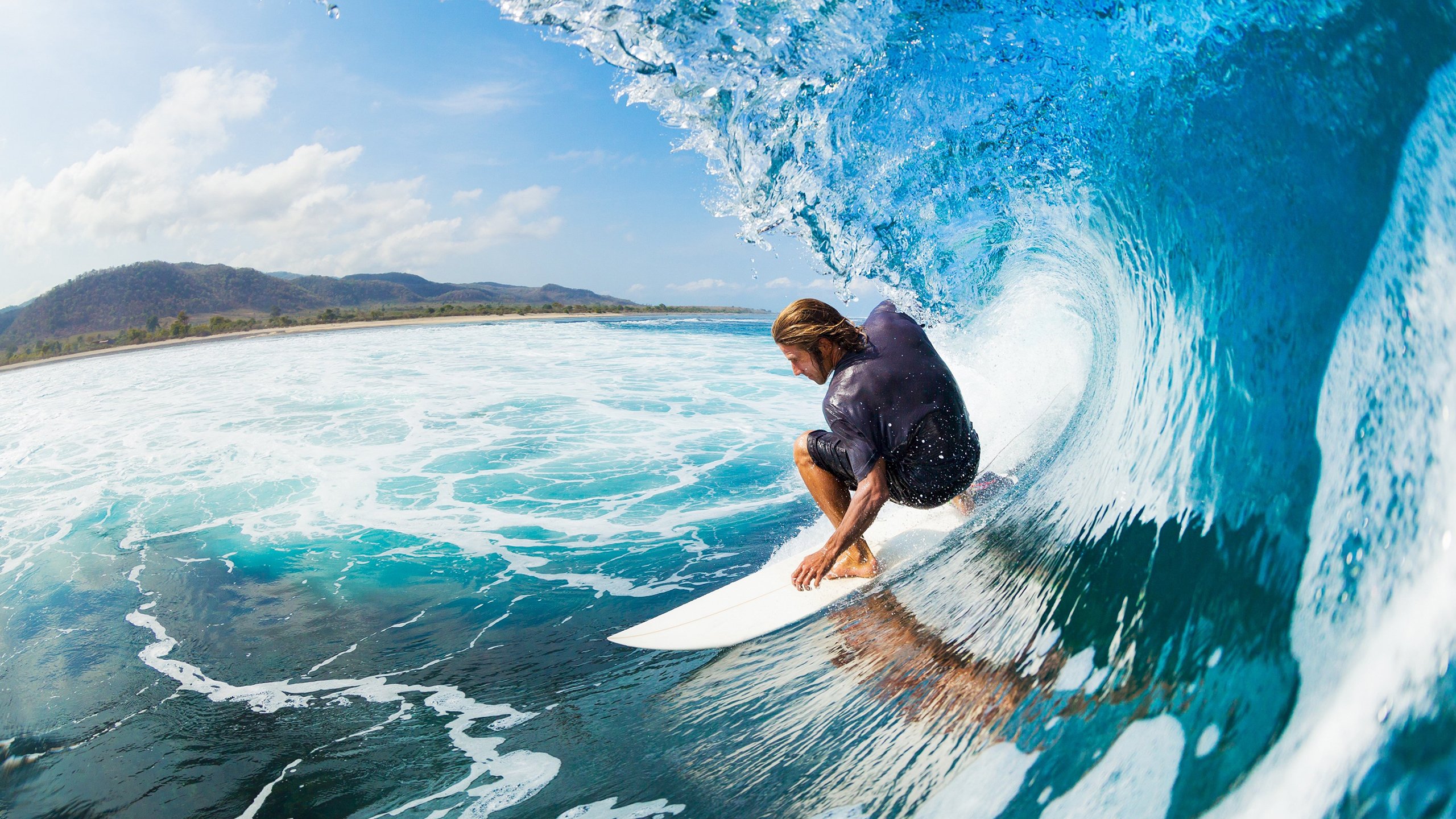 年度焦点之战之夜，伊布稳定输出不掉线的传奇